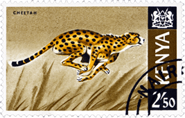 Postage stamp from Kenya with a running cheetah