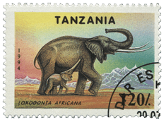 Postage stamp from Tanzania with an elephant and its baby