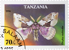 Postage stamp from Tanzania with a moth on a coloured background