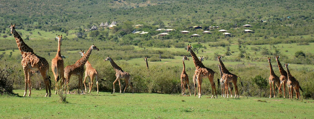 Top Ten African Wildlife Photography Tips | Bushtops Camps