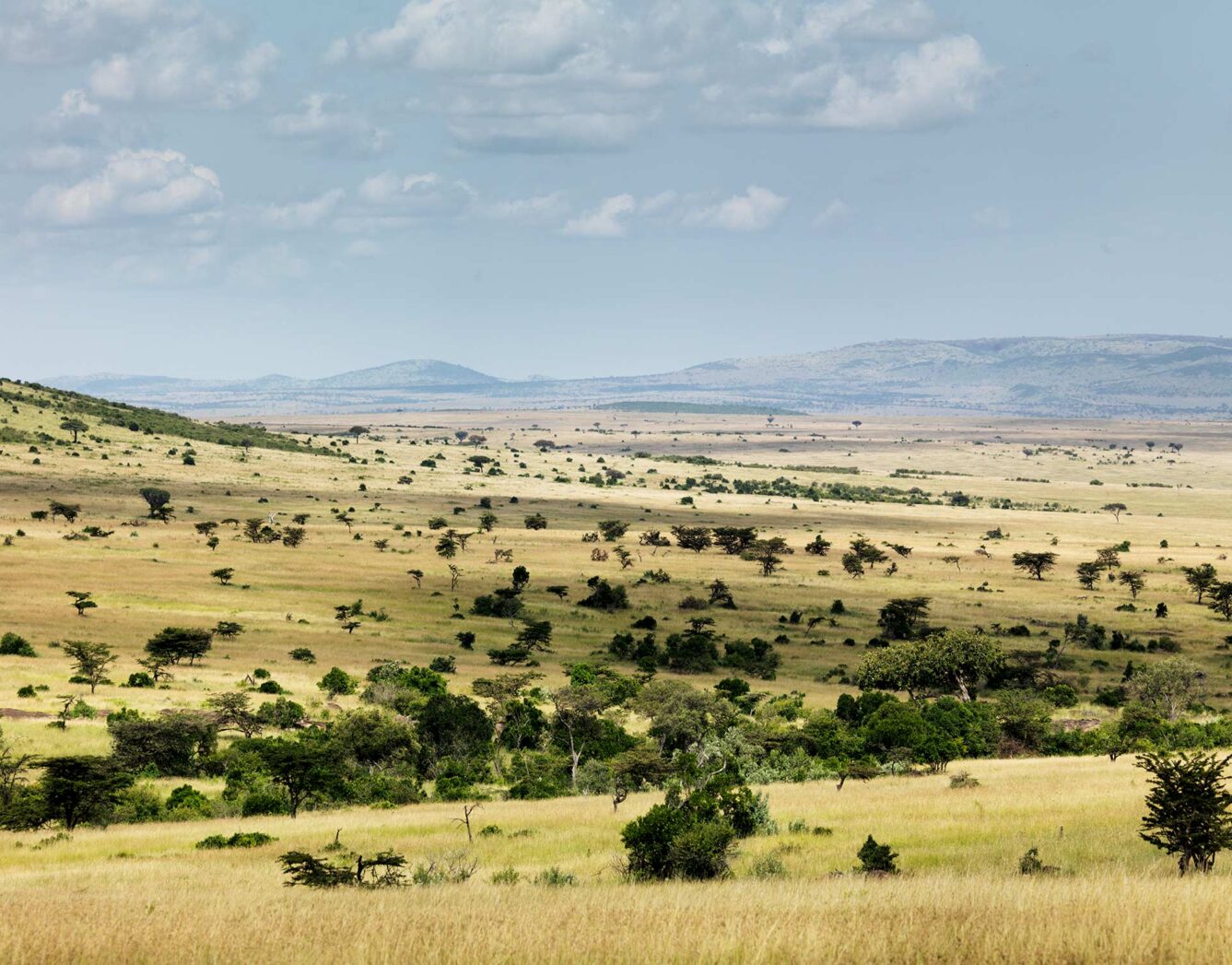 View of the Mara Conservancy
