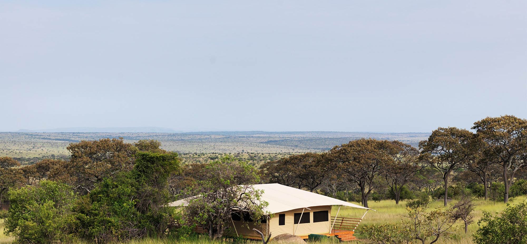 Serengeti tent nestled in the grass and trees