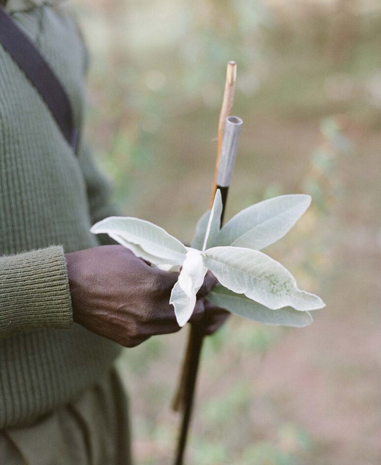 A man holding some leaves