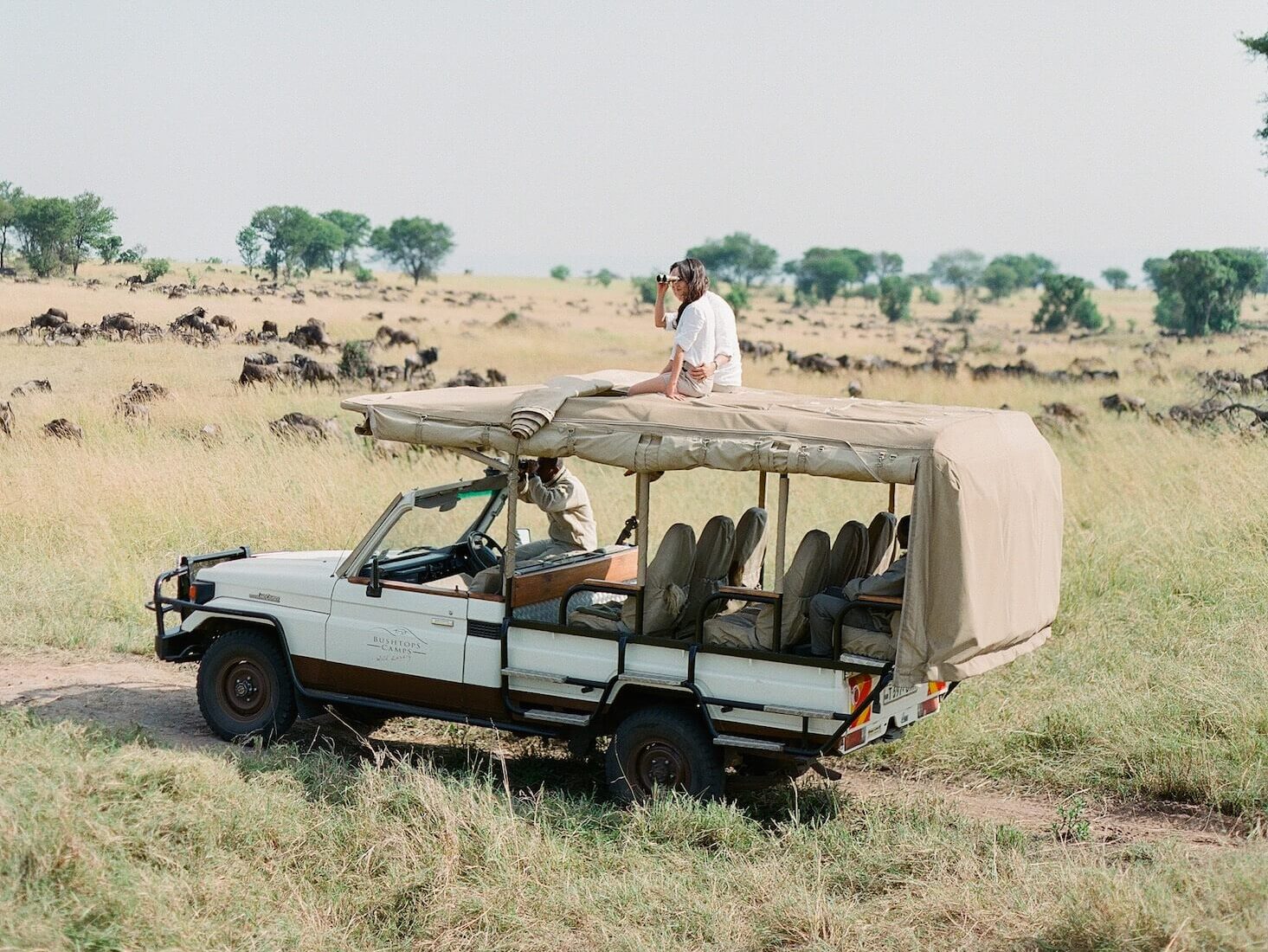 Game Drives | Big Five Safari in Kenya & Tanzania | Bushtops