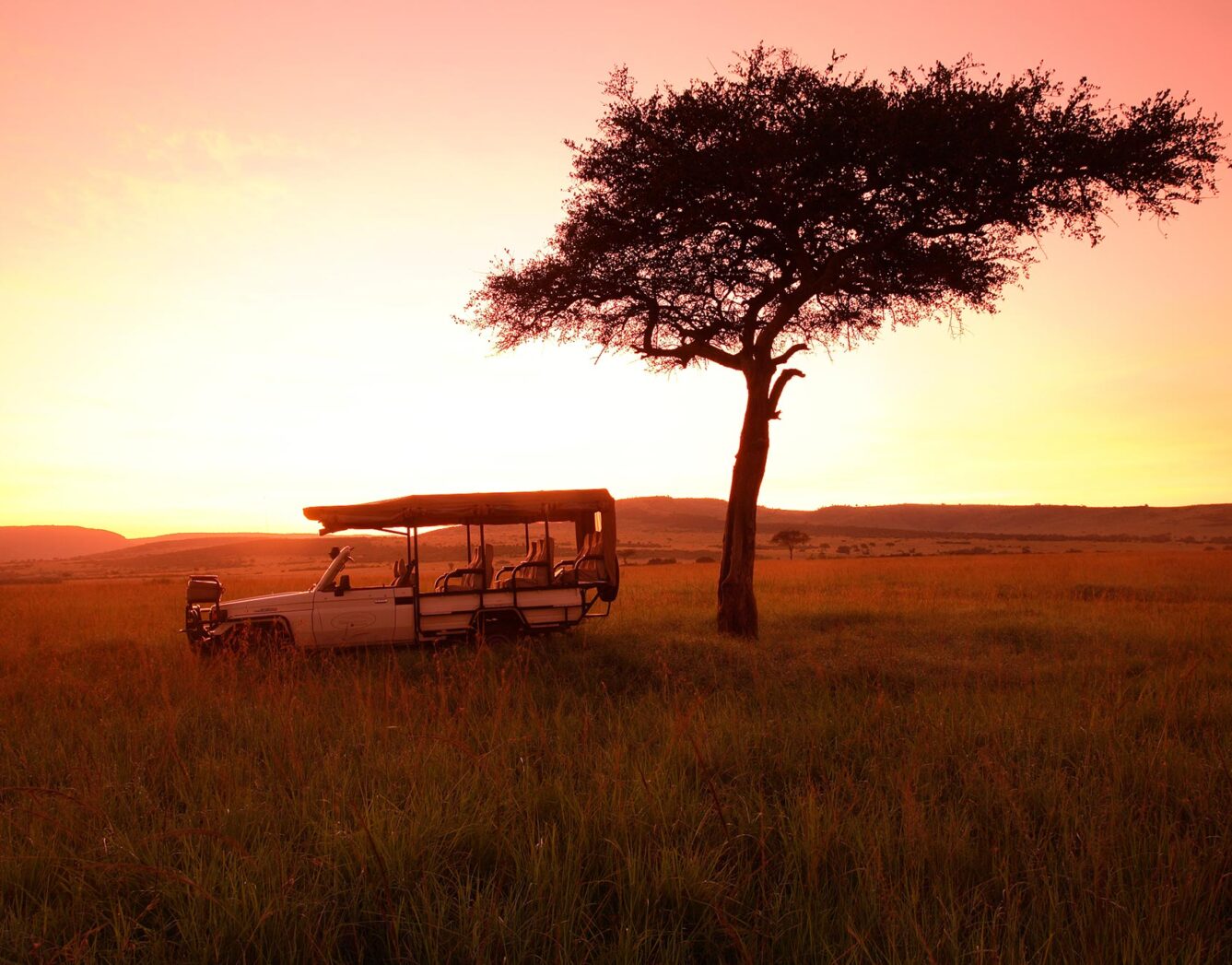 Safari rover driving at sunrise