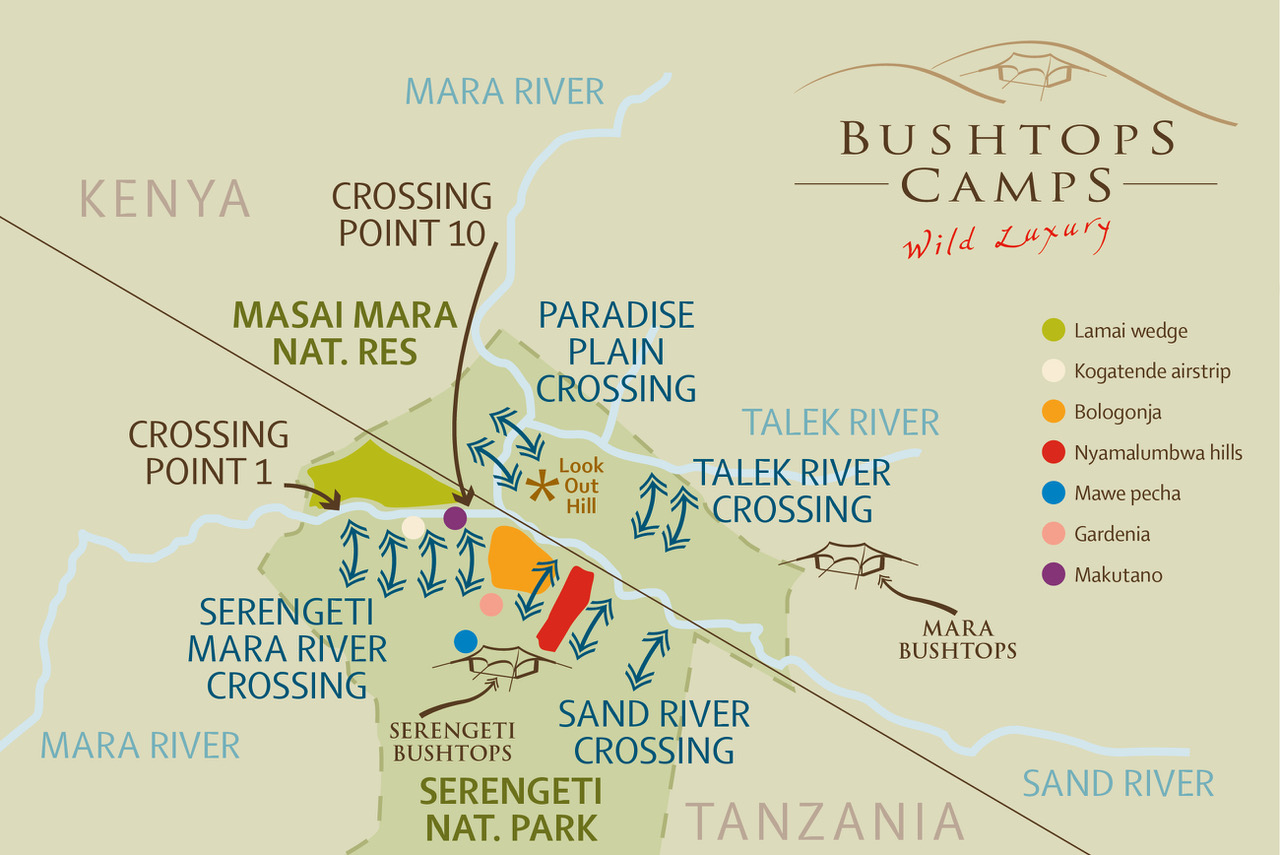 An illustrated map showing all the river crossing locations near the Mara and Serengeti Bushtops camps