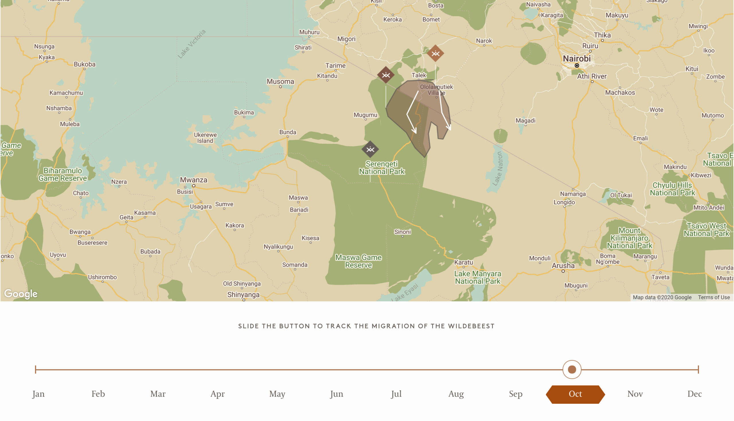 Google map displaying the migration of the wildebeest