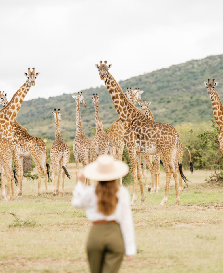 Luxury Masai Mara Safari Camp & Spa | Bushtops
