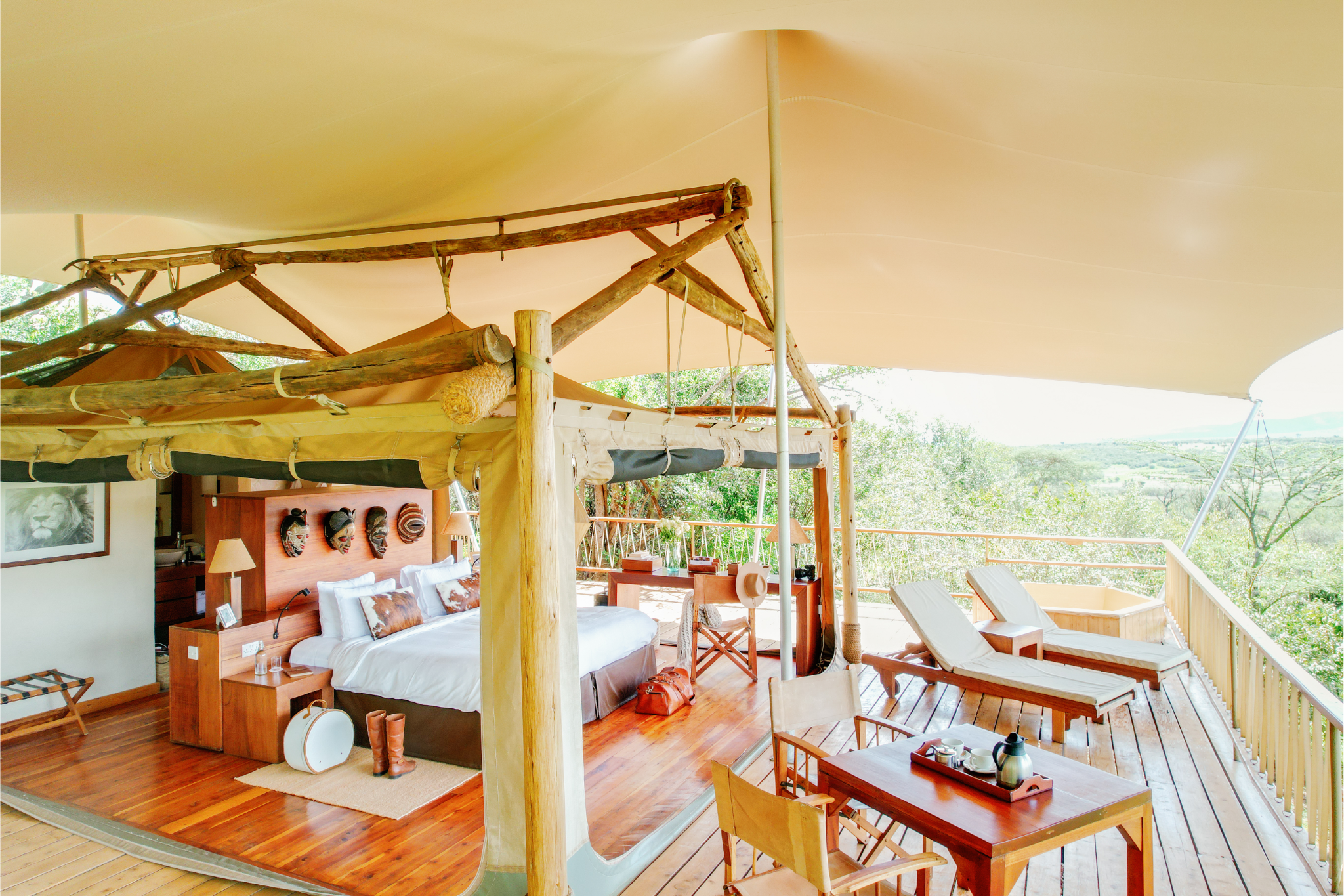 Safari Africa