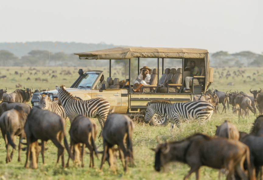 Bushtops Safari Adventure