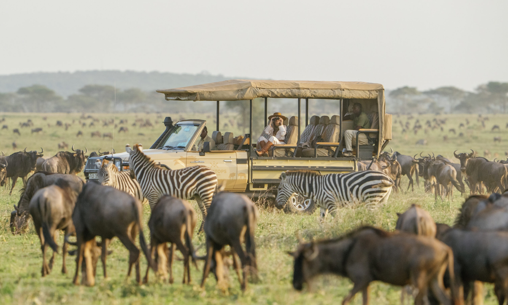 LuxuryAfricansafari 