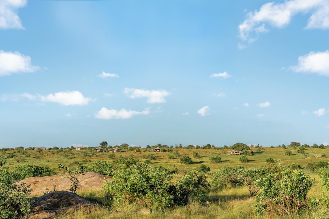 roving bushtops camp