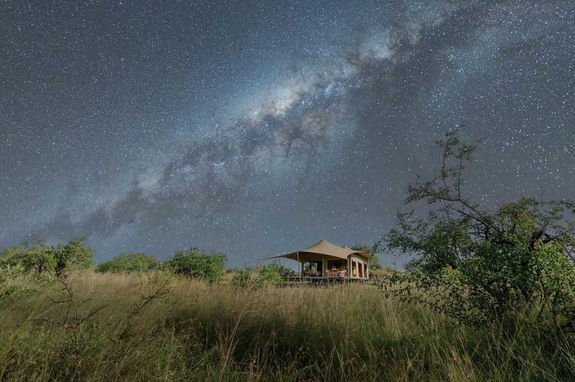 bushtops roving cheetah tent at night under milky way