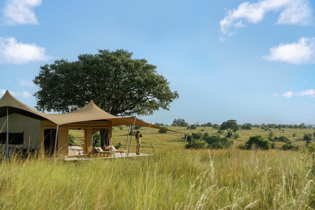 honeymoon tent roving bushtops